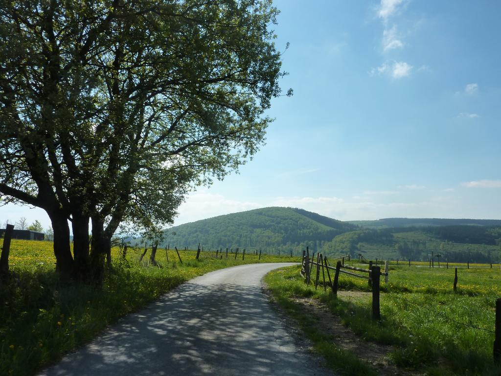 Hotel Burgblick Thallichtenberg Eksteriør billede